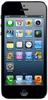 Смартфон Apple iPhone 5 16Gb Black & Slate - Прокопьевск
