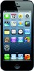 Apple iPhone 5 16GB - Прокопьевск