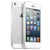 Apple iPhone 5 64Gb white - Прокопьевск